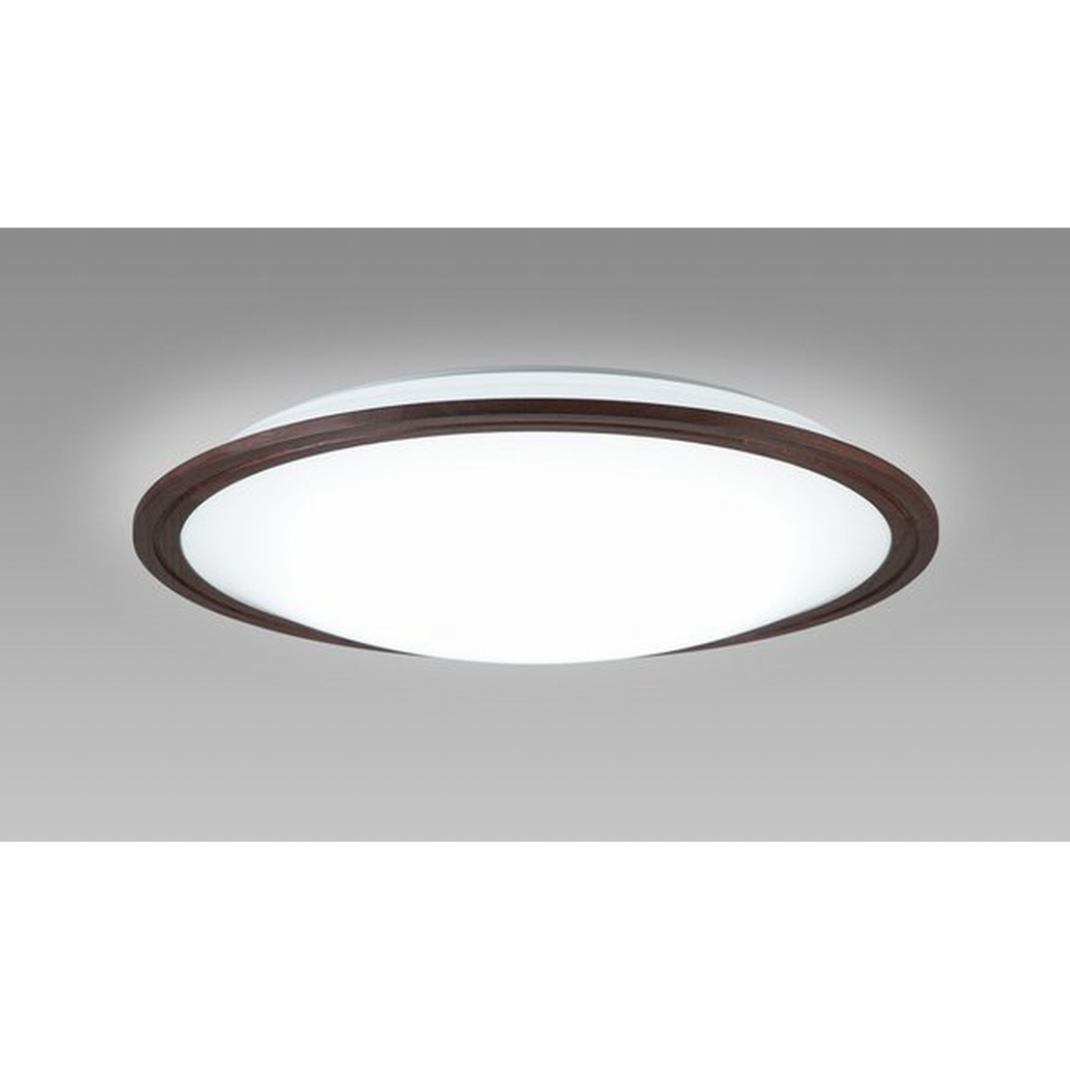 HotaluX(NEC) LEDシーリングライト 調光タイプ(12畳)