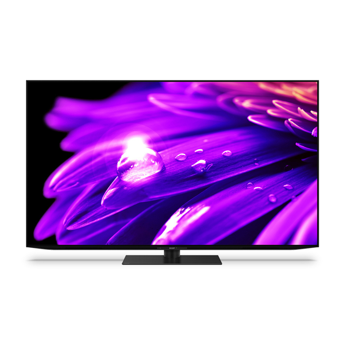 4K液晶テレビ 4T-C55ES1(55V型)