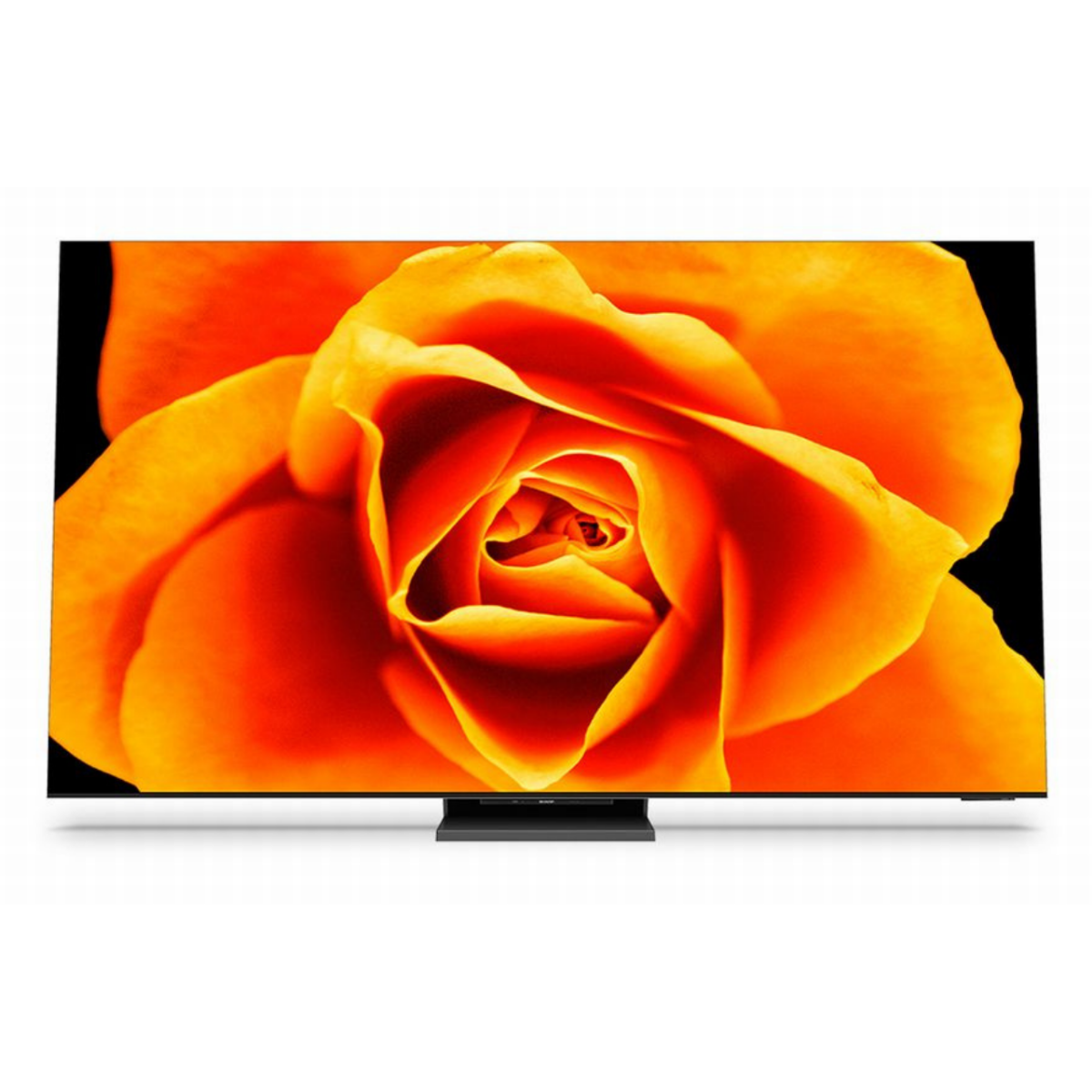 8Kテレビ<br>8T-C65DX1(65v型)