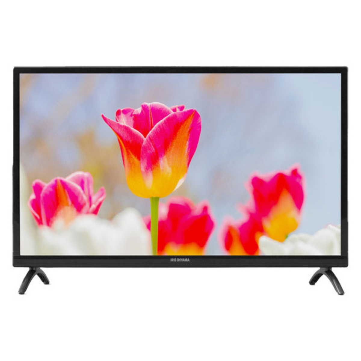 アイリスオーヤマ液晶テレビ 24V型 ブラック LT-24B320