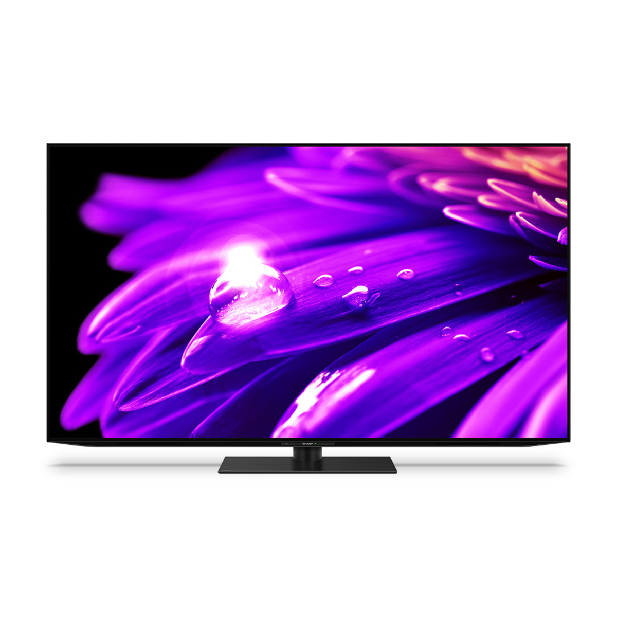 4K液晶テレビ 4T-C65ES1(65V型)