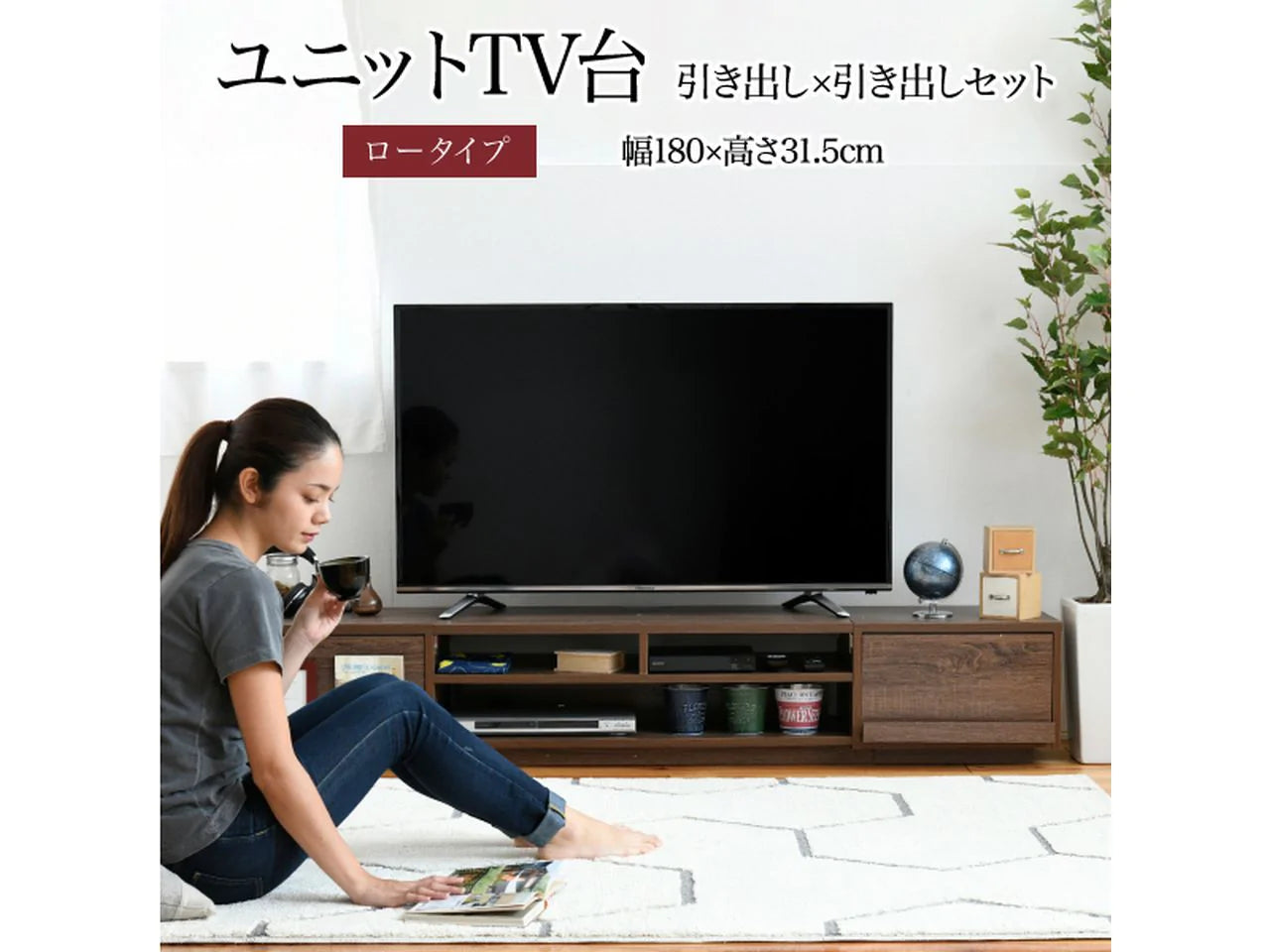 【一部商品：次回納期未定】<br>【お客様組立品】180cm幅 ワイドテレビボード 組み合わせ扉 FTV-LOWSET